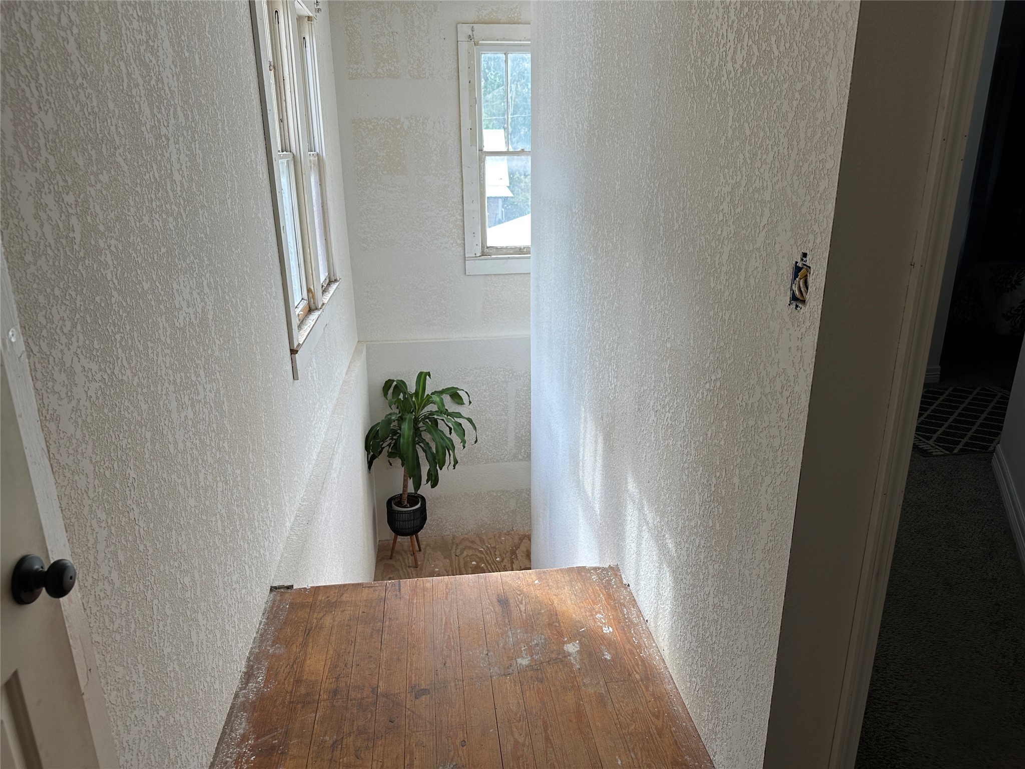 641 Baxter Street Garwood, TX 77442 - Photo 29 of 33 a view of a hallway with wooden floor and a potted plant
