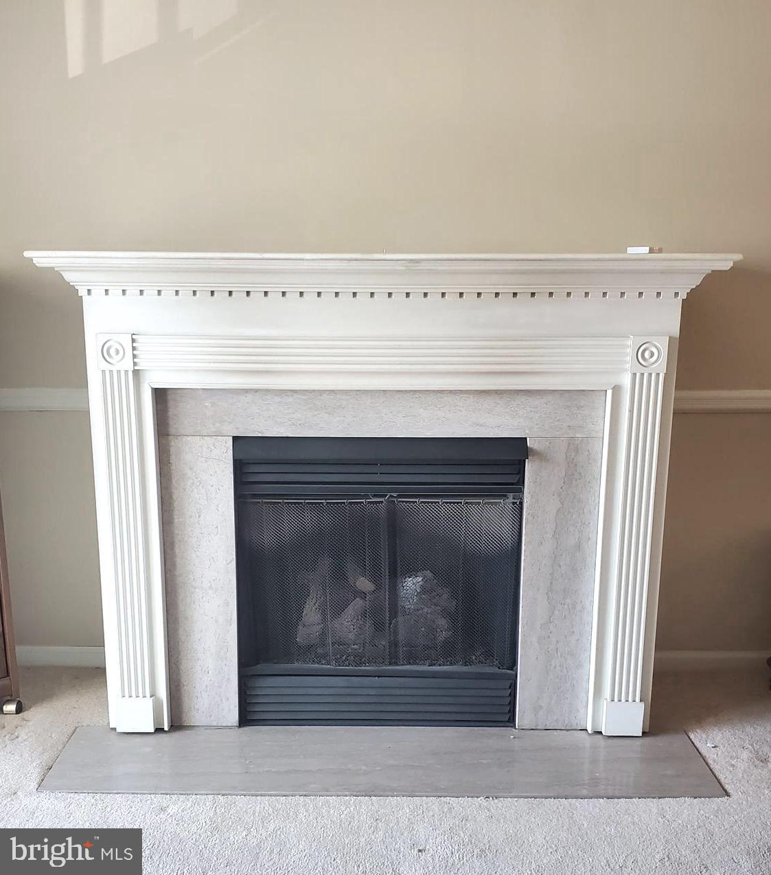 449 Brandon Road Norristown, PA 19403 - Photo 5 of 14 Living Room Fireplace