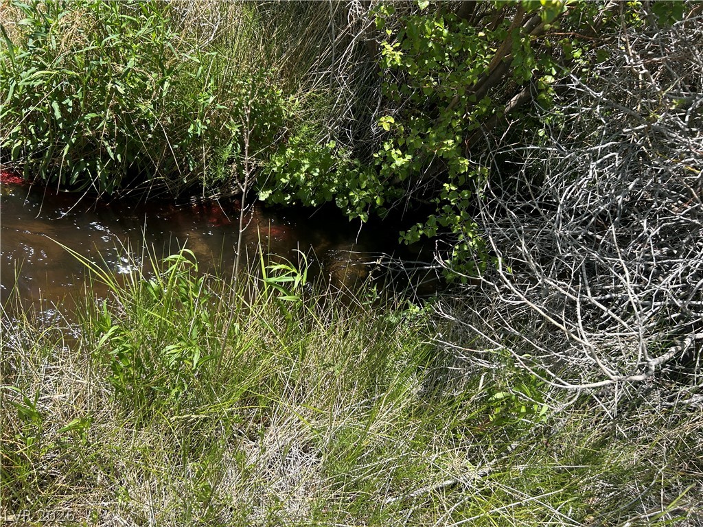 360 Mountain Creek Road Dyer, NV 89010 - Photo 13 of 23 A tranquil stream meanders through verdant grasses and dense foliage, offering a private, natural setting.