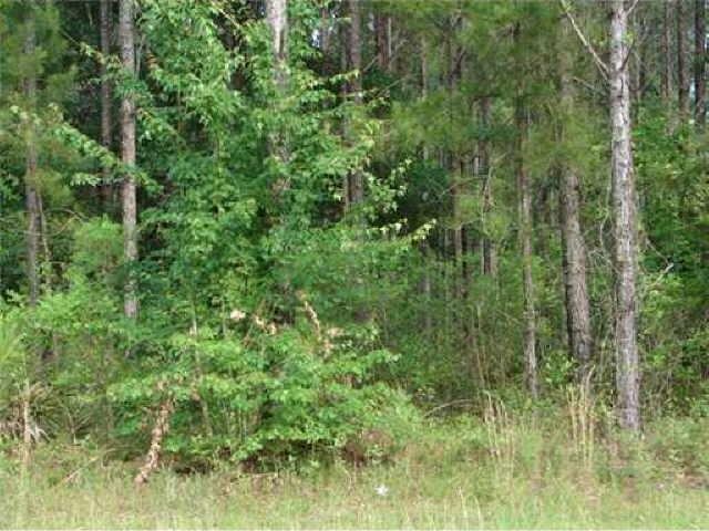 2559 Courthouse Road, Unit B Guyton, GA 31312 - Photo 1 of 1