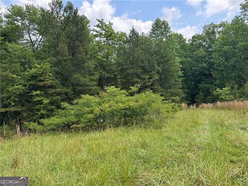 0 Ben Higgins Road Dahlonega, GA 30533 - Photo 12 of 21