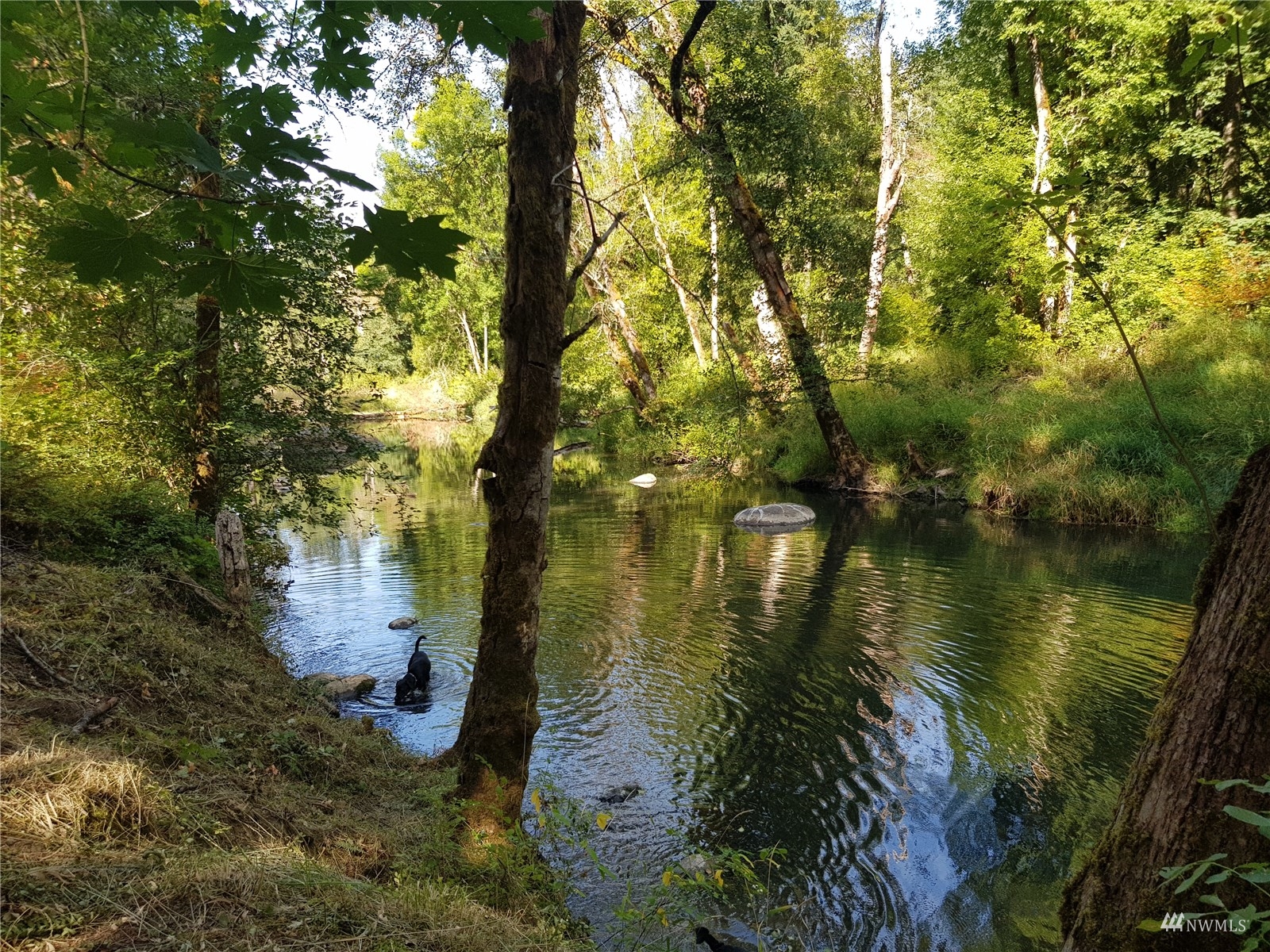 14322 Vail Cut Off Road Southeast Rainier, WA 98576 - Photo 1 of 32 Gallery Image 1