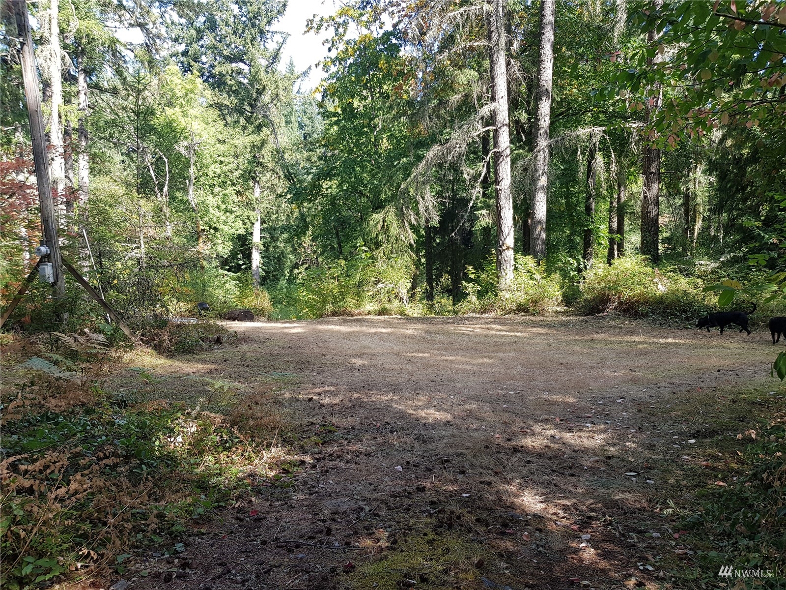 14322 Vail Cut Off Road Southeast Rainier, WA 98576 - Photo 11 of 32 Gallery Image 11