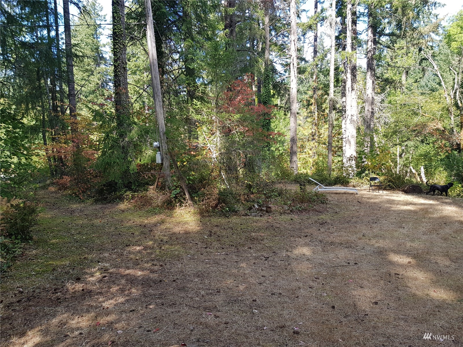 14322 Vail Cut Off Road Southeast Rainier, WA 98576 - Photo 12 of 32 Gallery Image 12