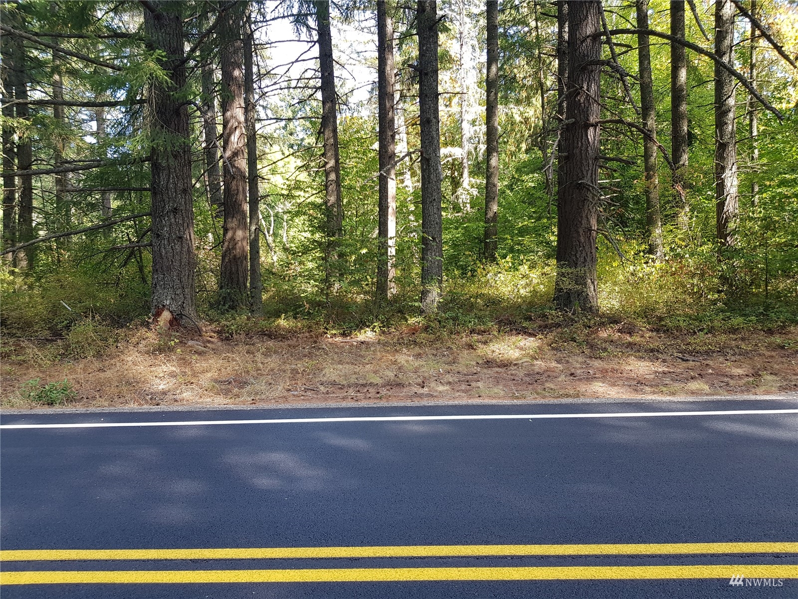 14322 Vail Cut Off Road Southeast Rainier, WA 98576 - Photo 15 of 32 Gallery Image 15