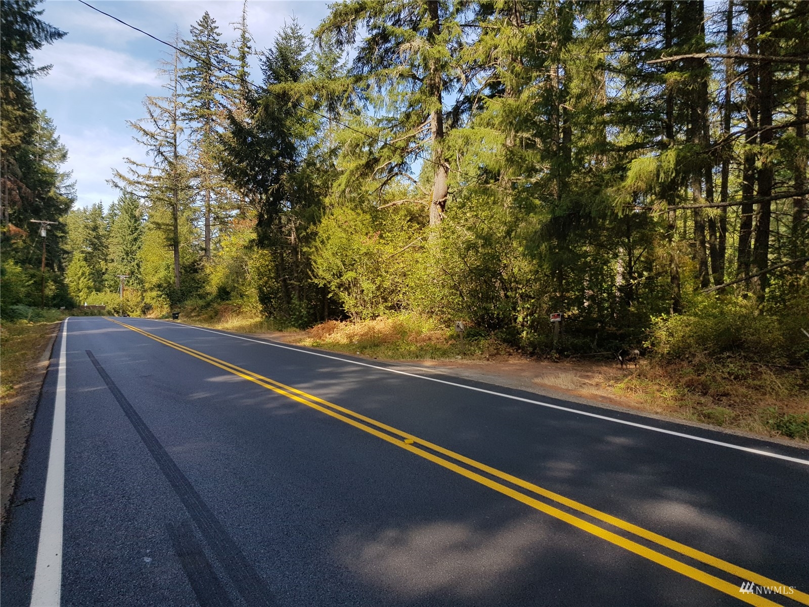 14322 Vail Cut Off Road Southeast Rainier, WA 98576 - Photo 16 of 32 Gallery Image 16
