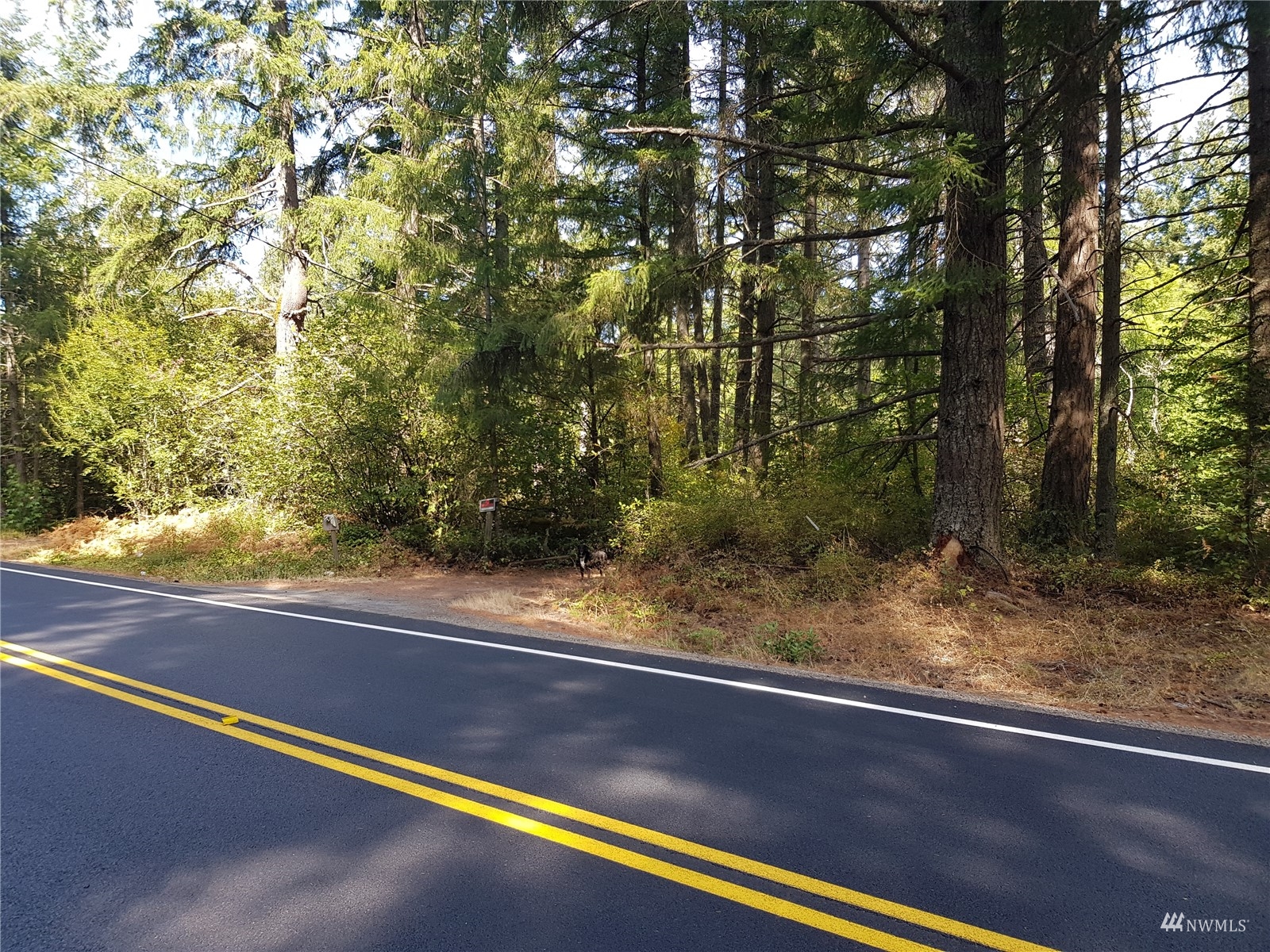 14322 Vail Cut Off Road Southeast Rainier, WA 98576 - Photo 17 of 32 Gallery Image 17