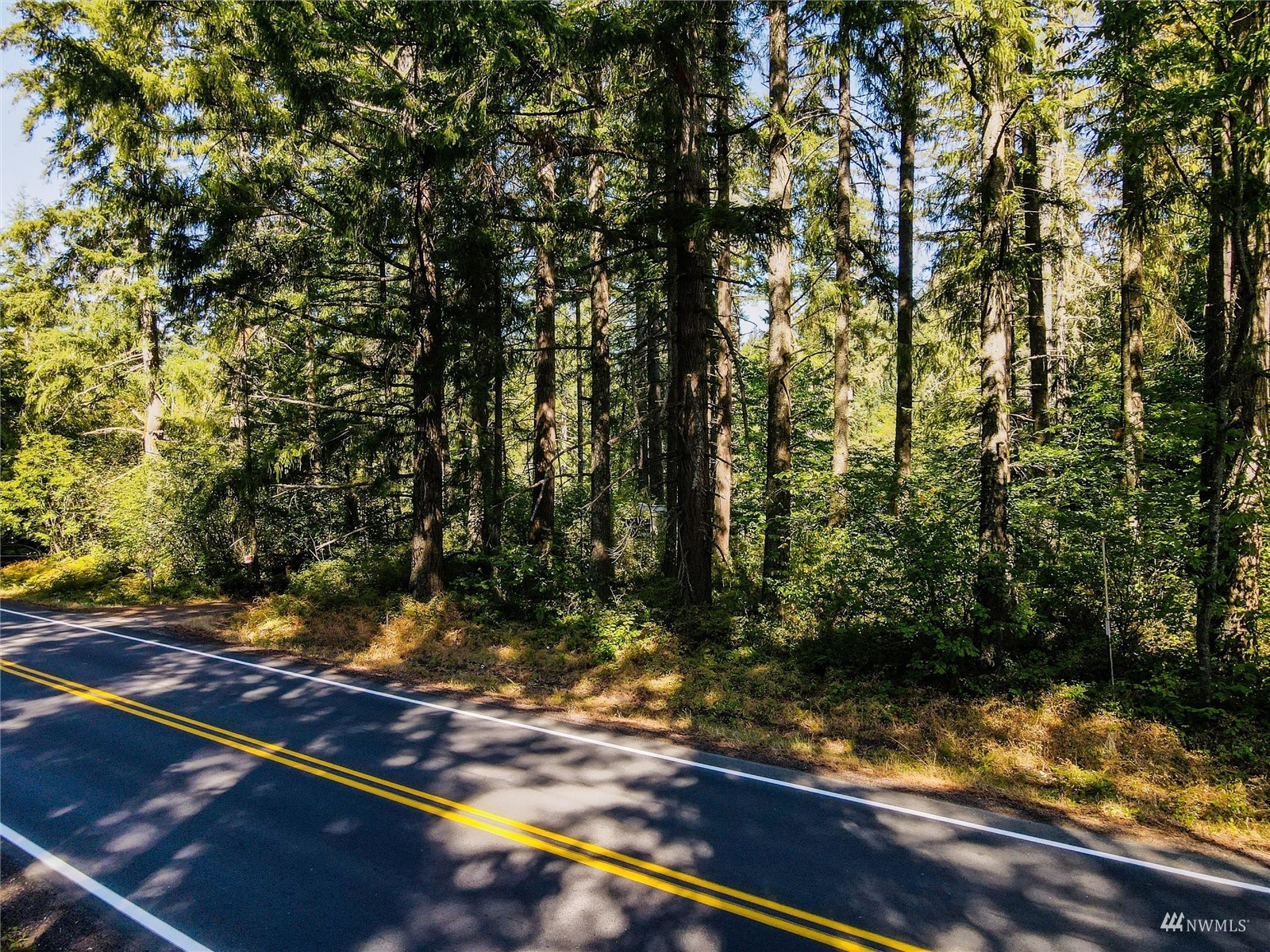 14322 Vail Cut Off Road Southeast Rainier, WA 98576 - Photo 18 of 32 Gallery Image 18