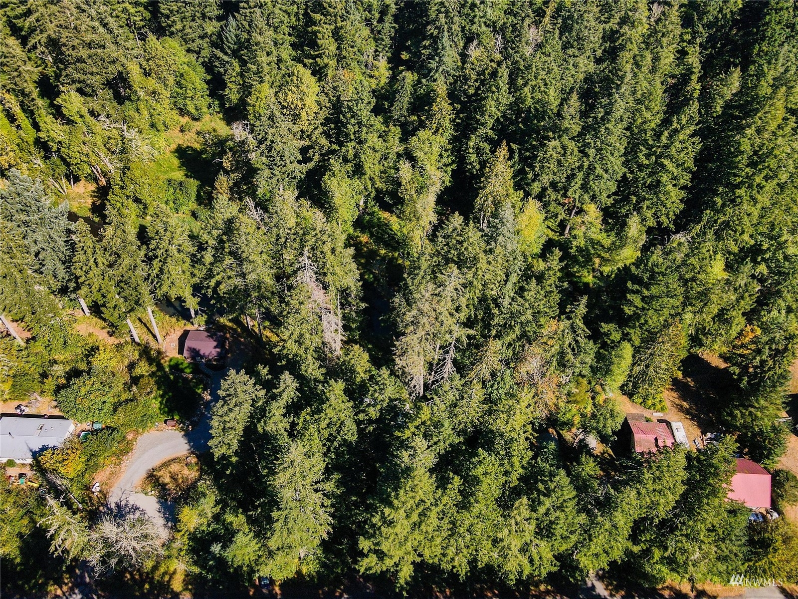 14322 Vail Cut Off Road Southeast Rainier, WA 98576 - Photo 25 of 32 Gallery Image 25