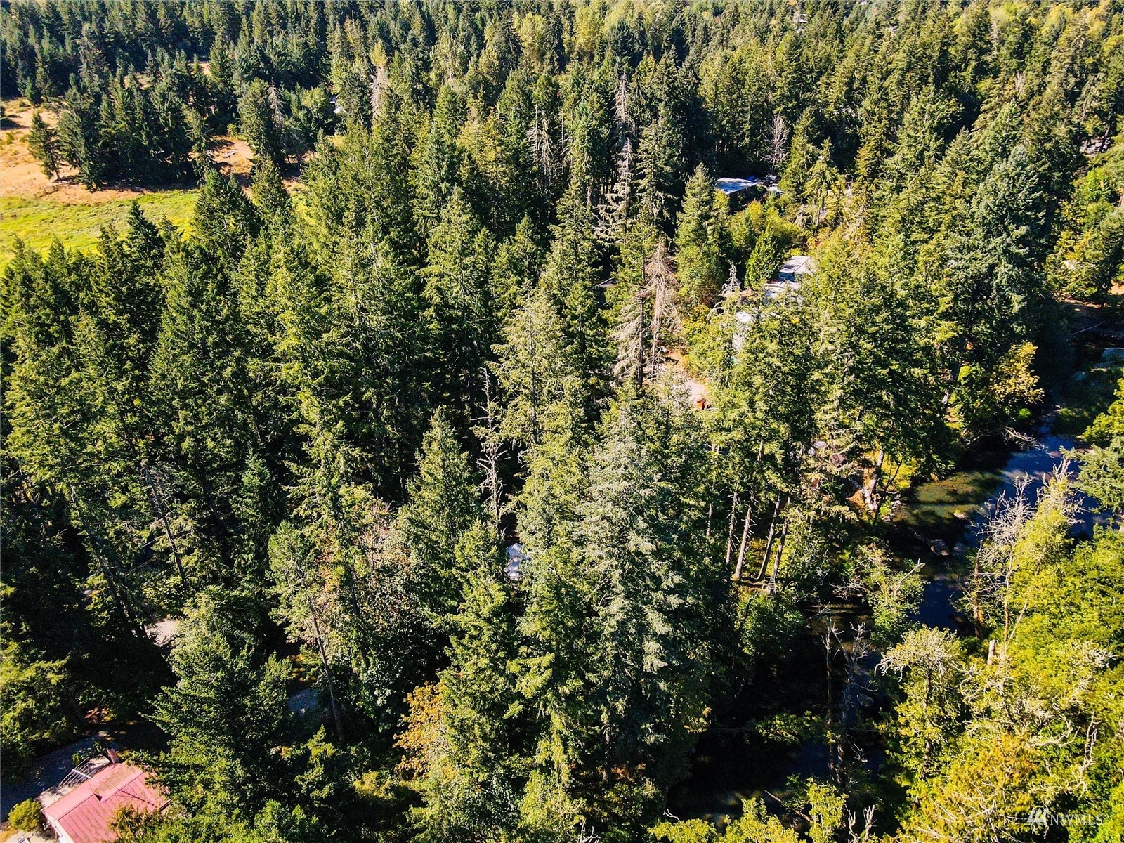 14322 Vail Cut Off Road Southeast Rainier, WA 98576 - Photo 32 of 32 Gallery Image 32