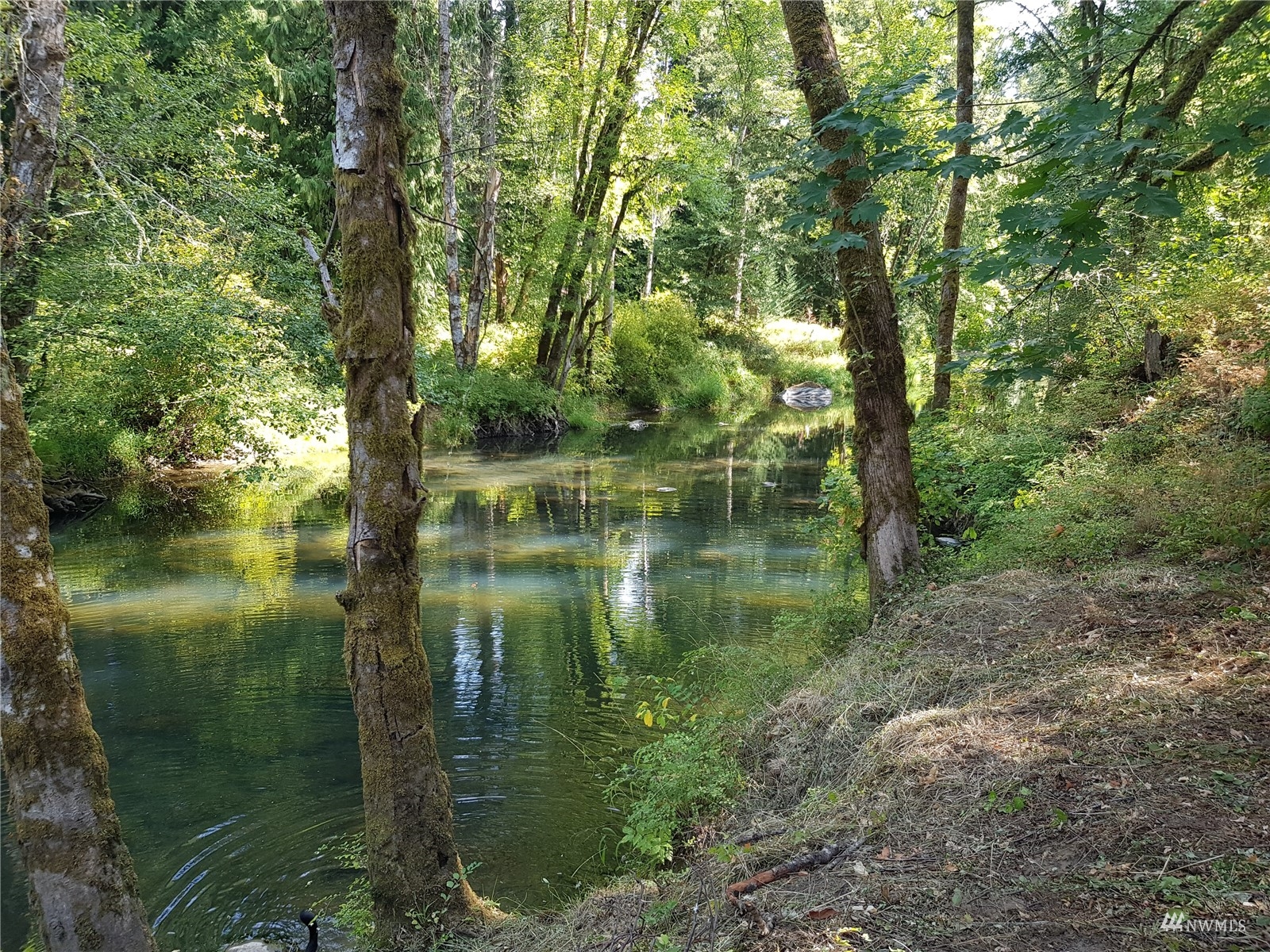 14322 Vail Cut Off Road Southeast Rainier, WA 98576 - Photo 4 of 32 Gallery Image 4