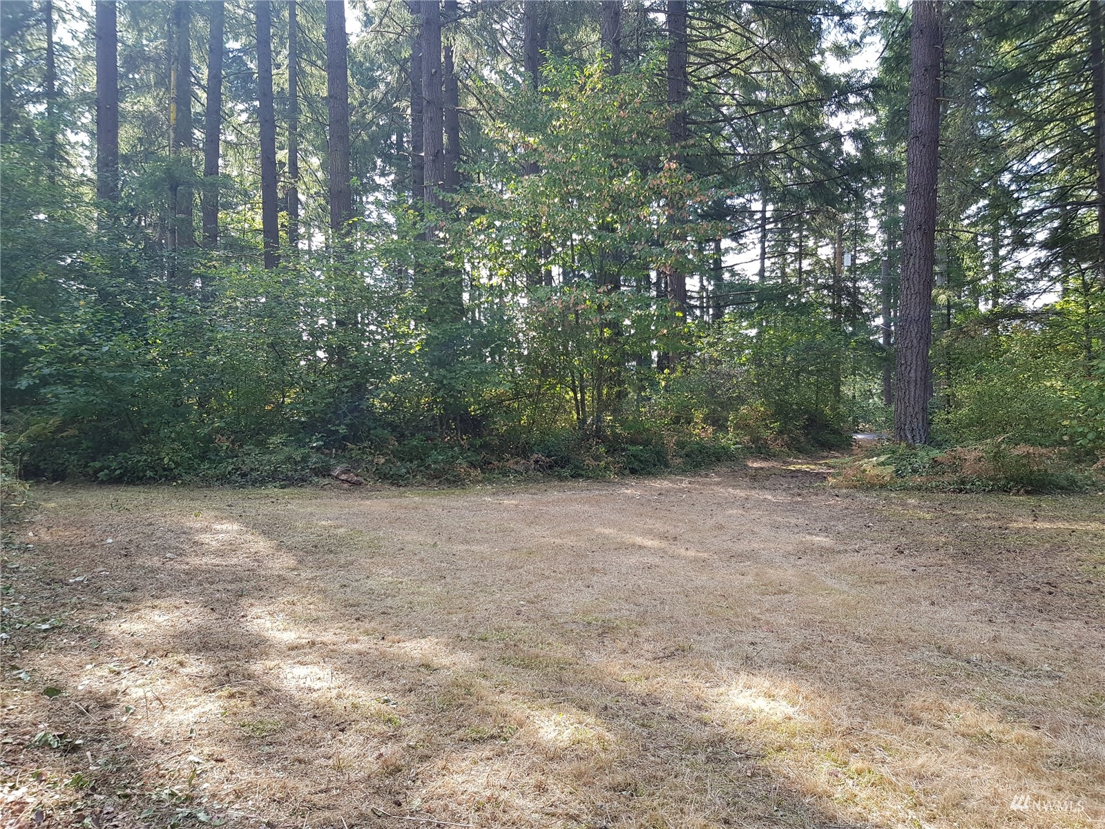 14322 Vail Cut Off Road Southeast Rainier, WA 98576 - Photo 5 of 32 Gallery Image 5