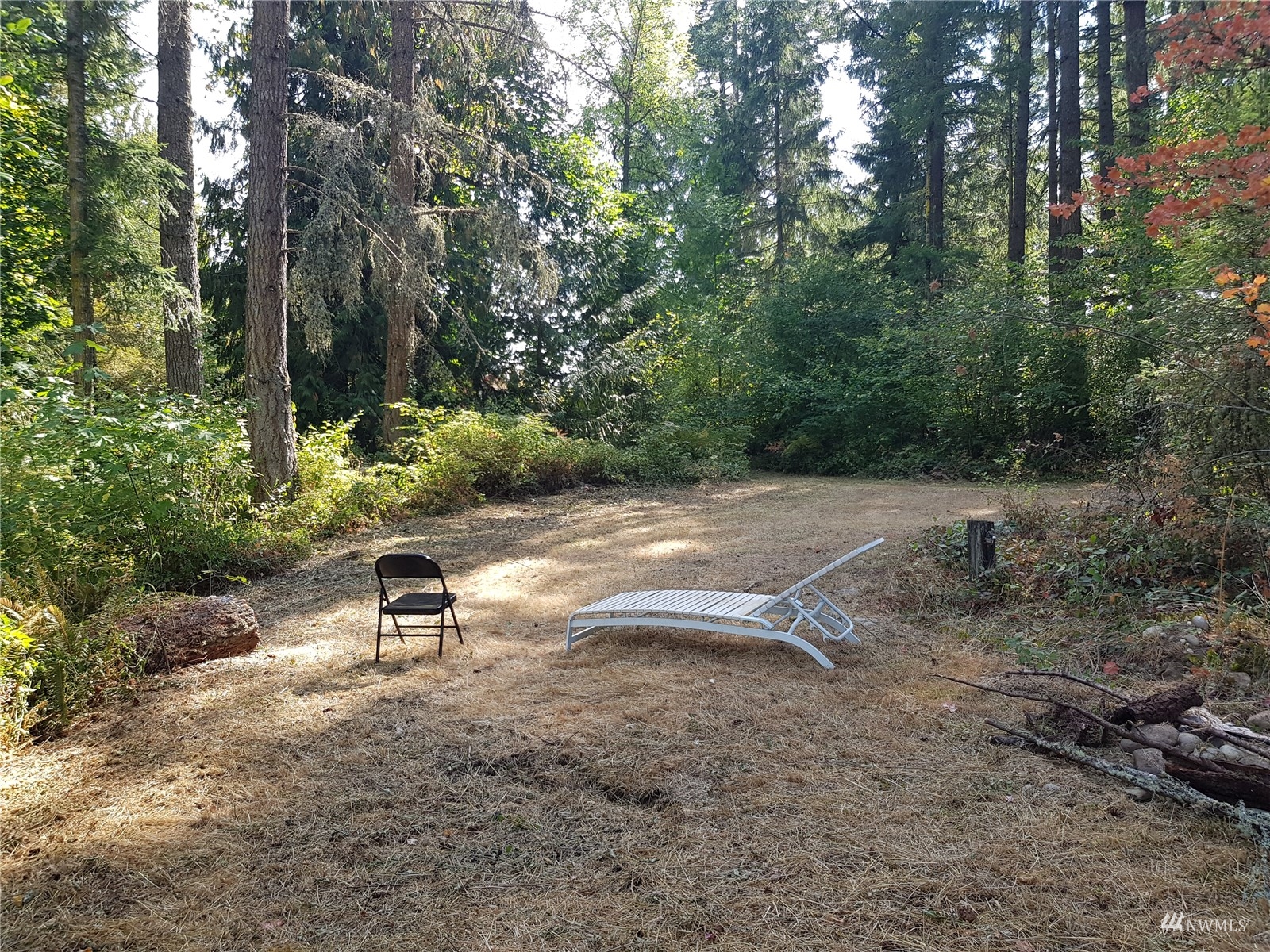 14322 Vail Cut Off Road Southeast Rainier, WA 98576 - Photo 6 of 32 Gallery Image 6