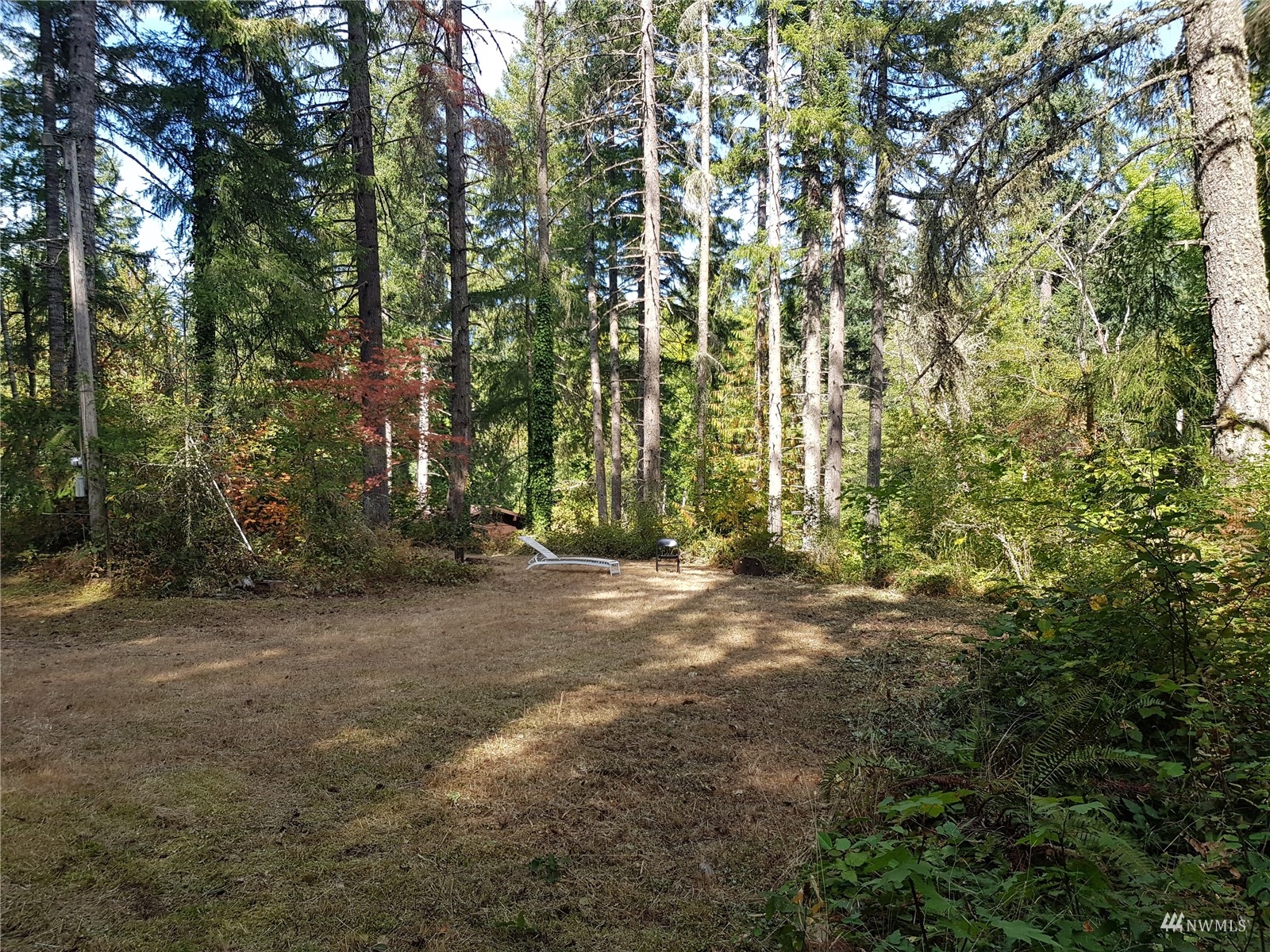 14322 Vail Cut Off Road Southeast Rainier, WA 98576 - Photo 8 of 32 Gallery Image 8