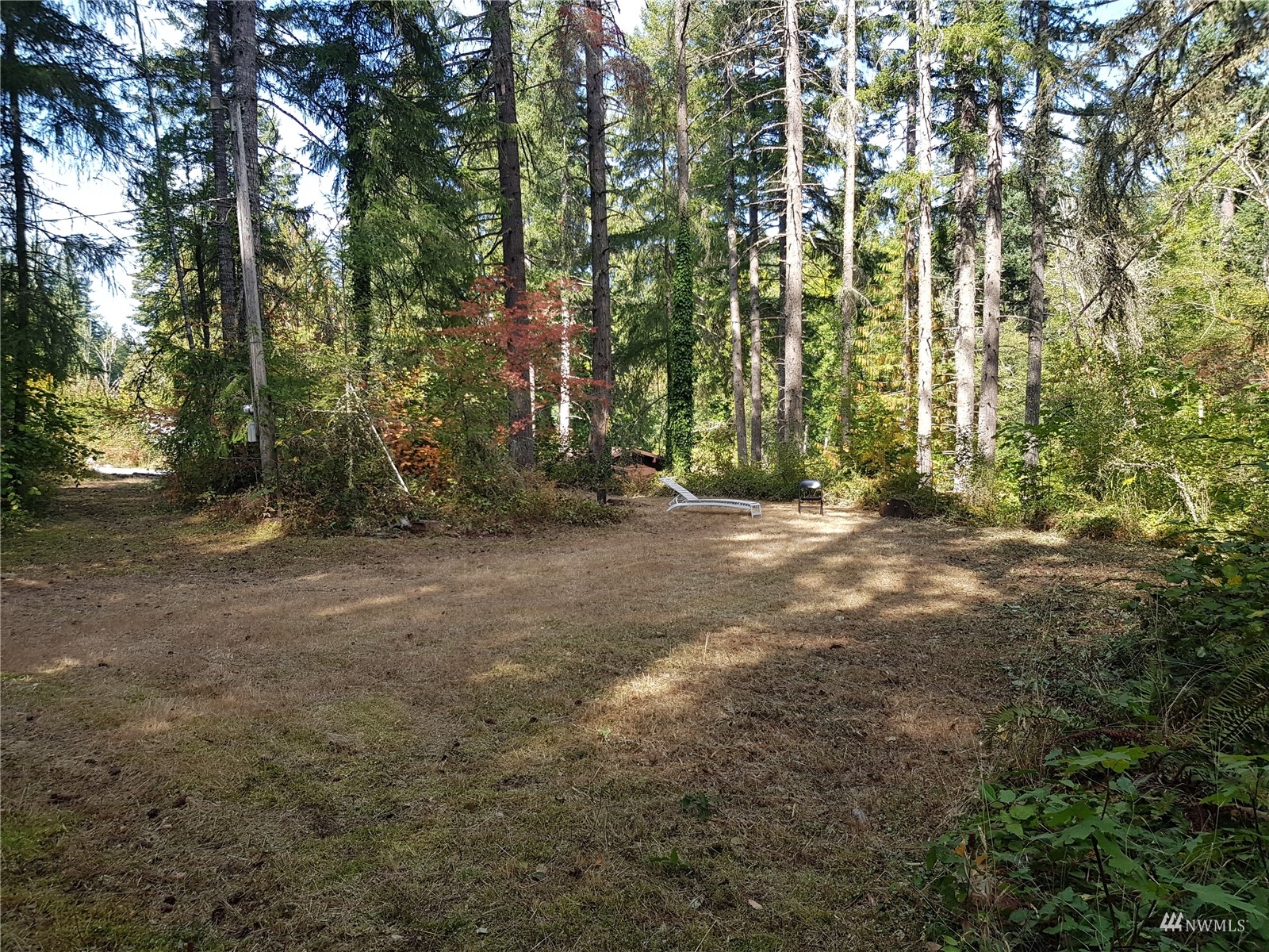14322 Vail Cut Off Road Southeast Rainier, WA 98576 - Photo 10 of 32 Gallery Image 10