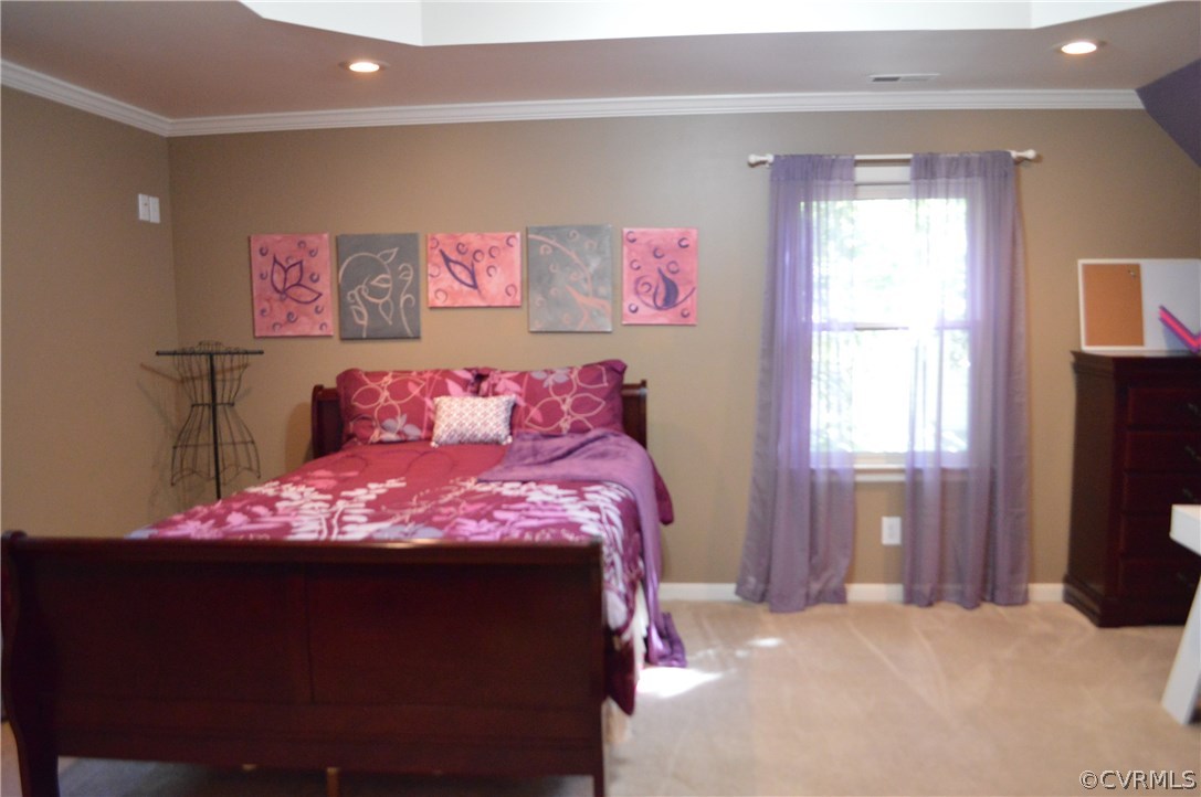 2607 Colgrave Road Midlothian, VA 23112 - Photo 17 of 24