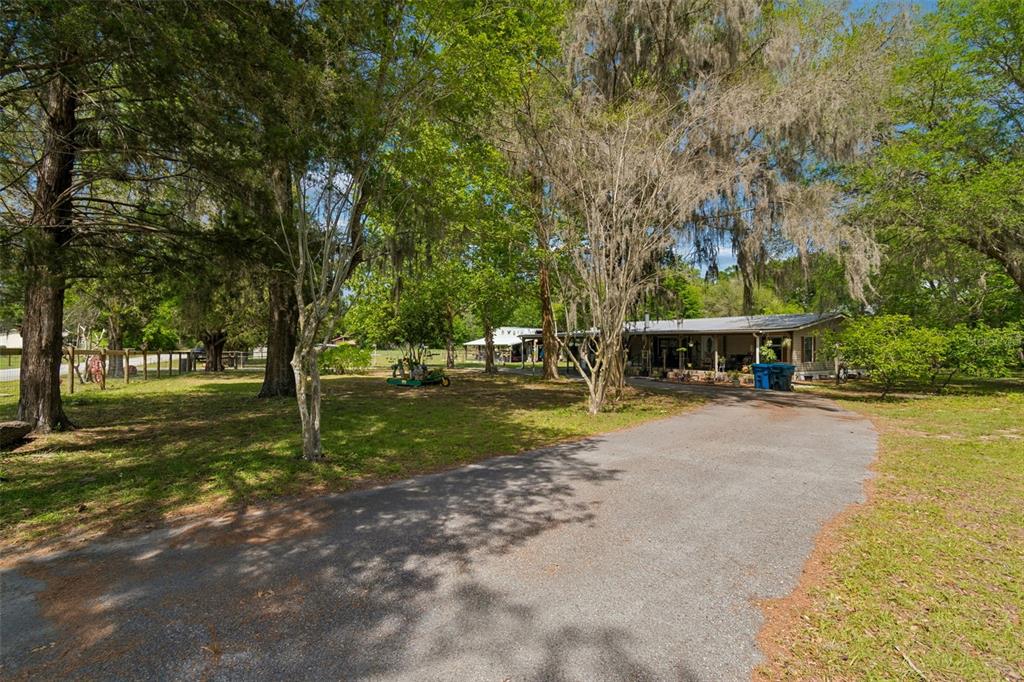 17114 Brittle Road Brooksville, FL 34601 - Photo 39 of 52