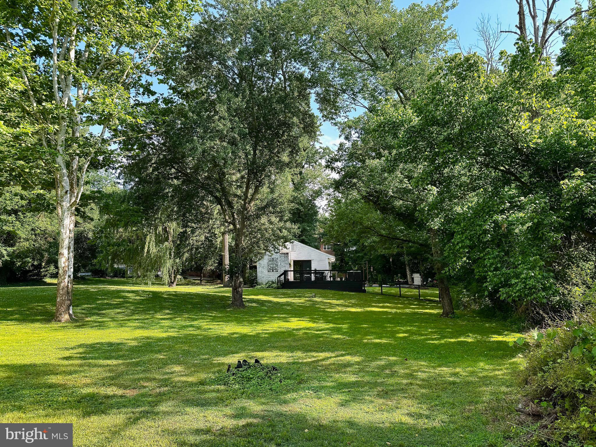 321 Tomlin Station Road Mullica Hill, NJ 08062 - Photo 28 of 33 Beautiful yard