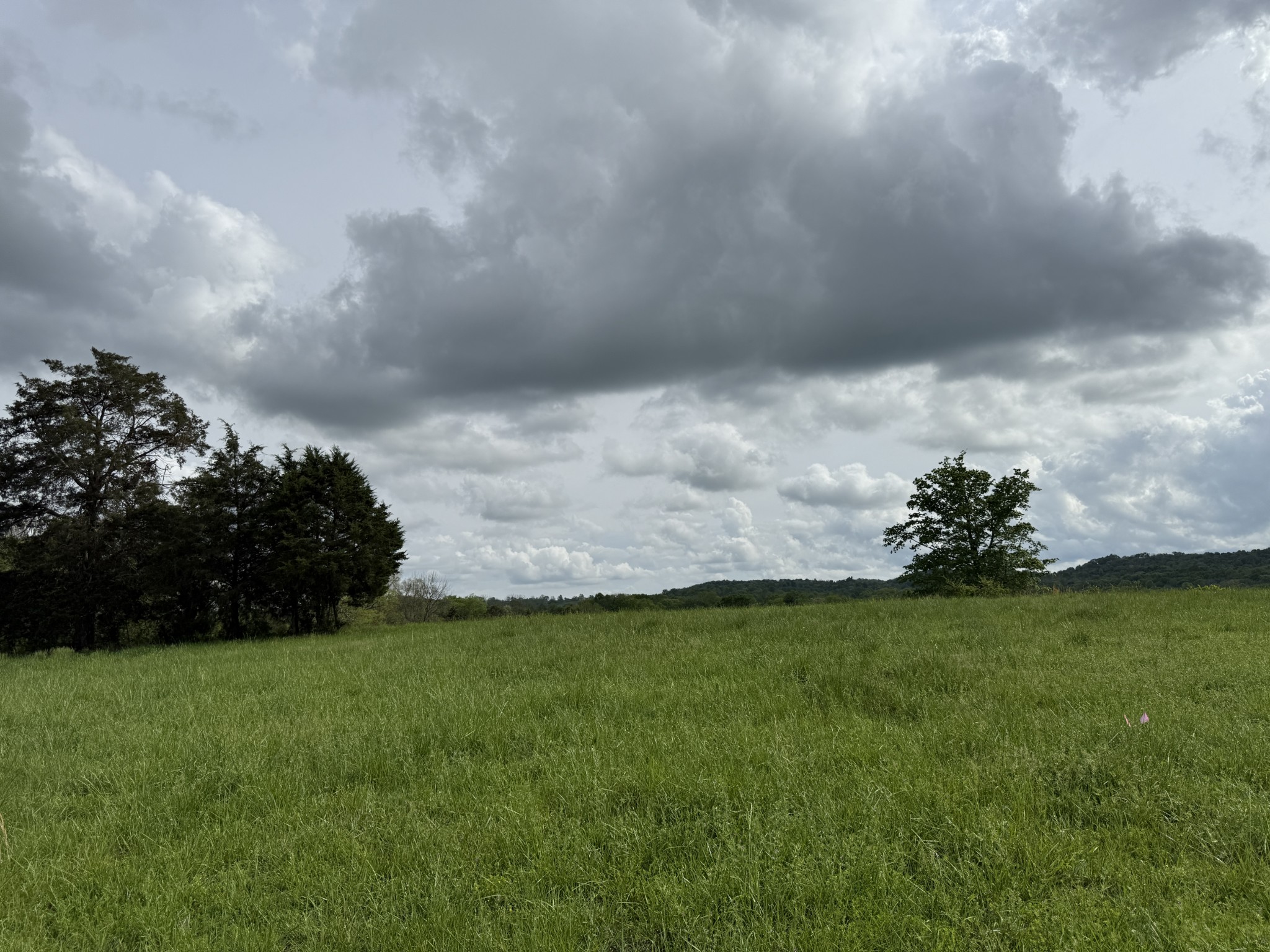 3385 Les Chappell Road Spring Hill, TN 37174 - Photo 2 of 4 a view of a field of grass and trees