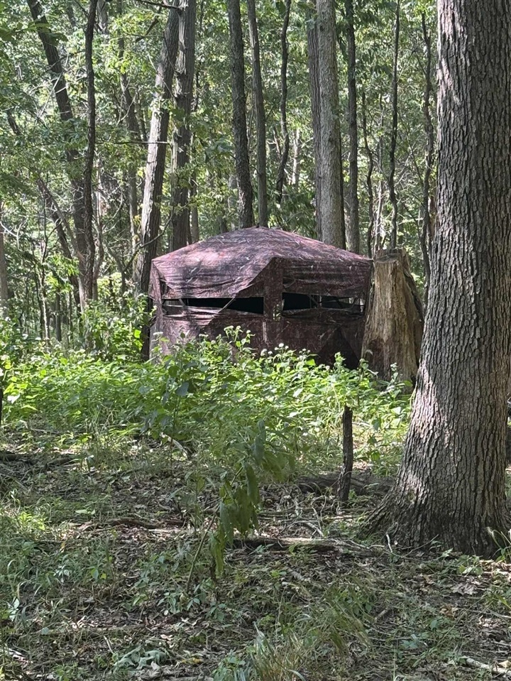 781 Hopkins Road Lyons, MI 48851 - Photo 91 of 99