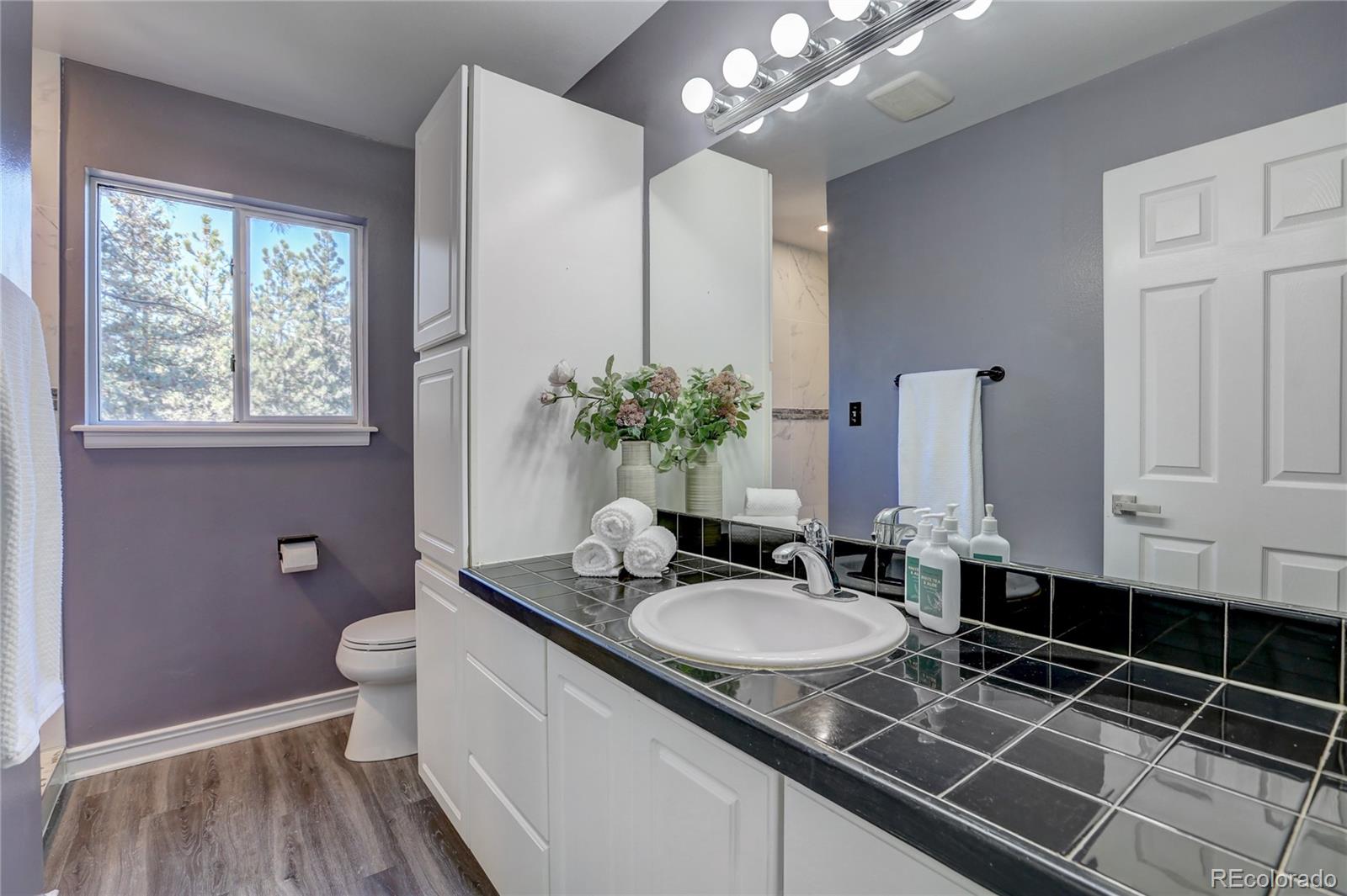 1469 Roland Drive Bailey, CO 80421 - Photo 24 of 39 a bathroom with a granite countertop sink a toilet a mirror and vanity