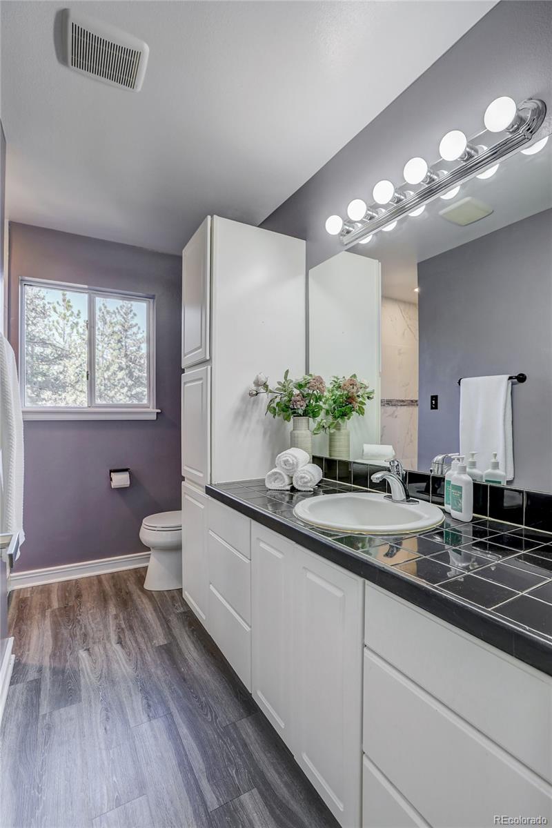 1469 Roland Drive Bailey, CO 80421 - Photo 26 of 39 a bathroom with a sink and a large mirror
