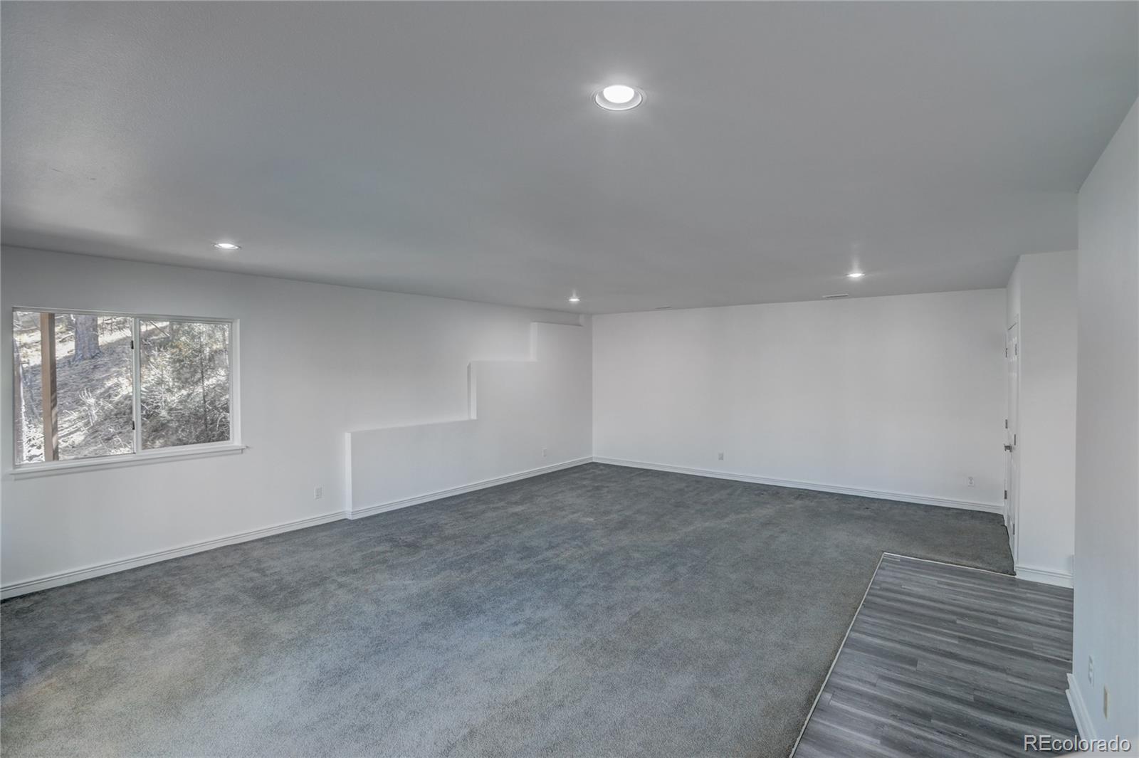 1469 Roland Drive Bailey, CO 80421 - Photo 27 of 39 an empty room with windows