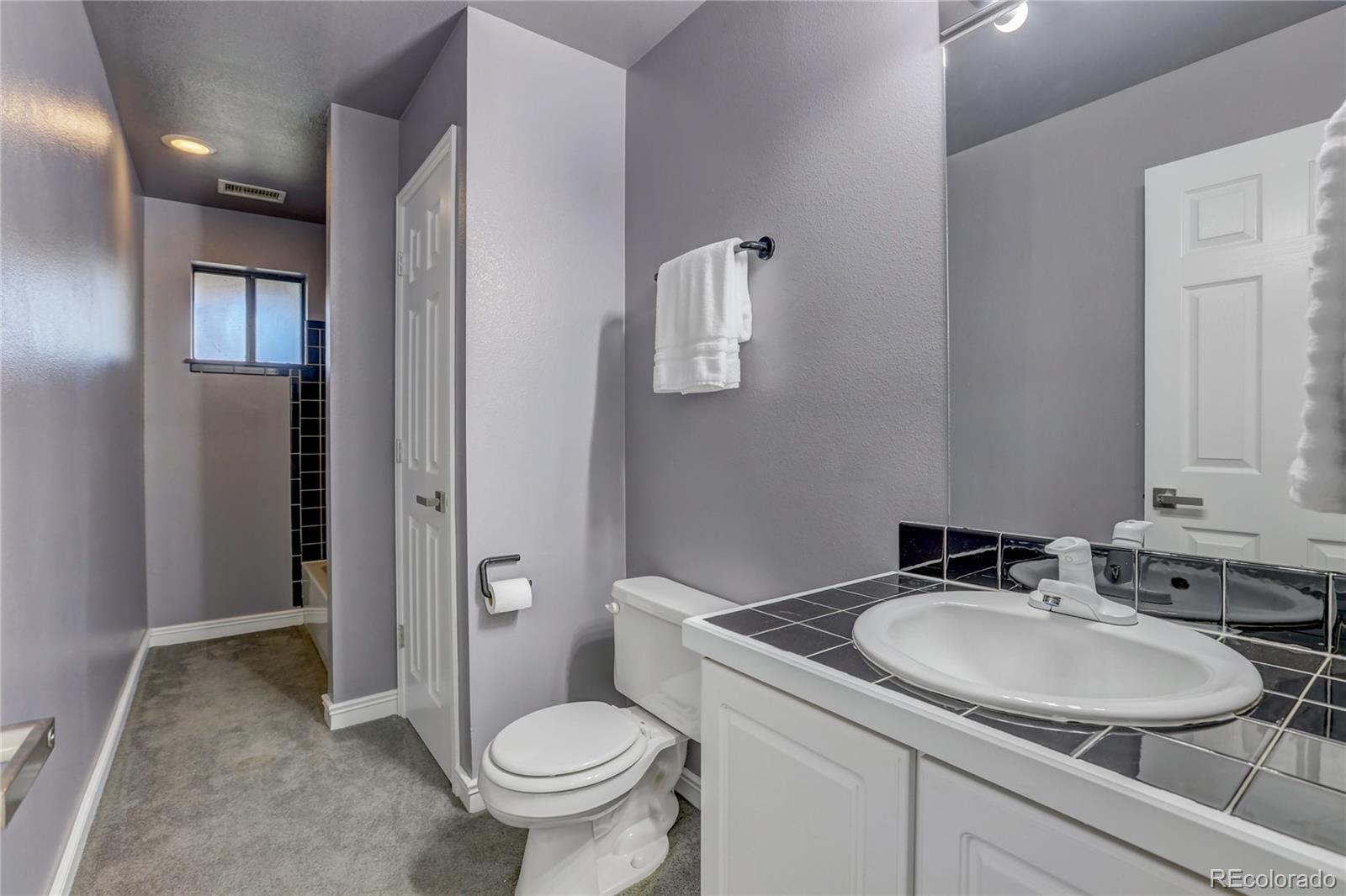1469 Roland Drive Bailey, CO 80421 - Photo 29 of 39 a bathroom with a sink toilet and shower