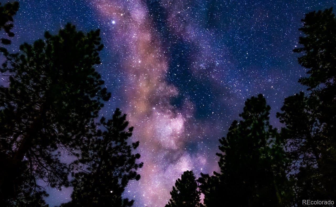 1469 Roland Drive Bailey, CO 80421 - Photo 39 of 39 a view of a lot of trees