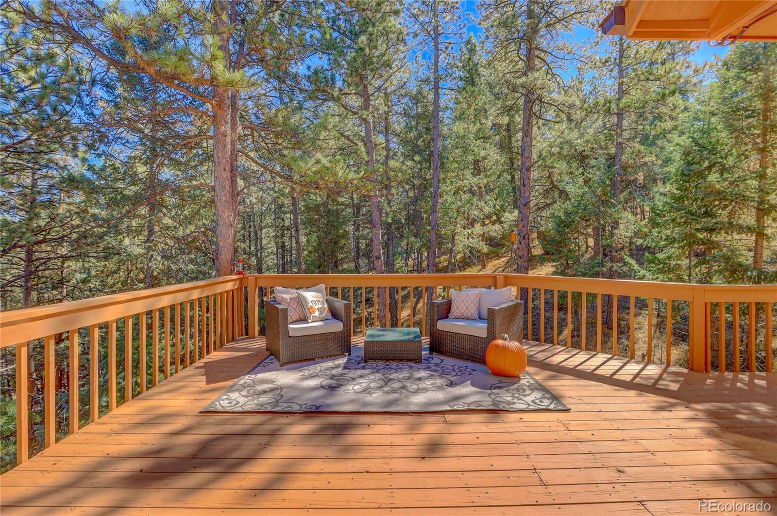 1469 Roland Drive Bailey, CO 80421 - Photo 5 of 39 a view of a patio on the roof deck