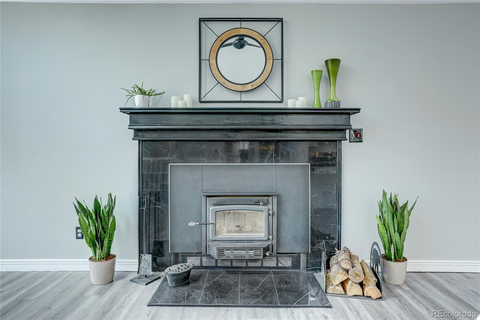 1469 Roland Drive Bailey, CO 80421 - Photo 9 of 39 a living room with furniture and a fireplace