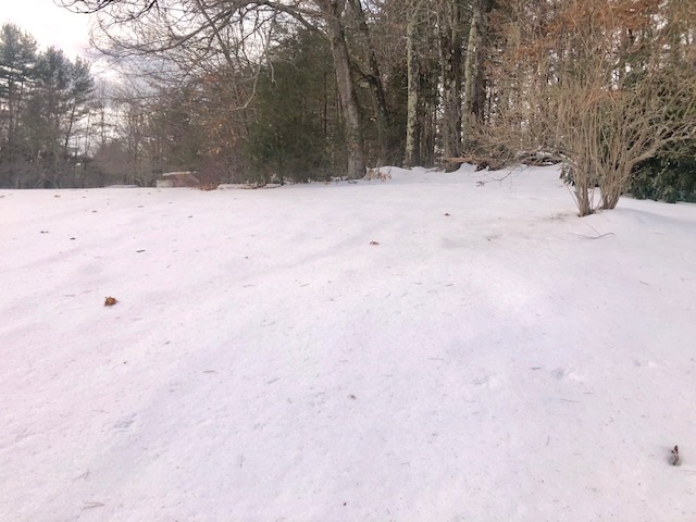 37 Nashua Road Pelham, NH 03076 - Photo 21 of 37