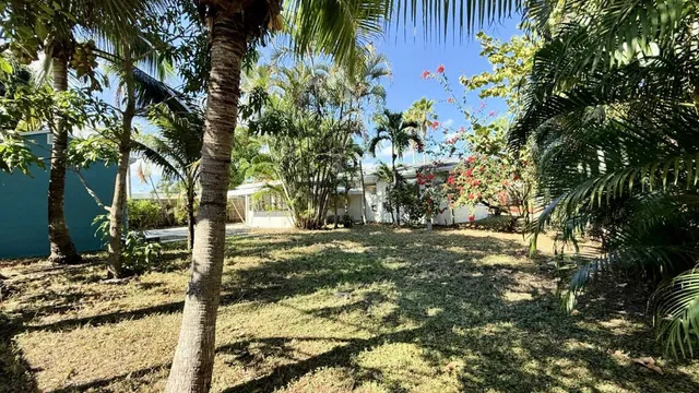 a view of a yard with plants