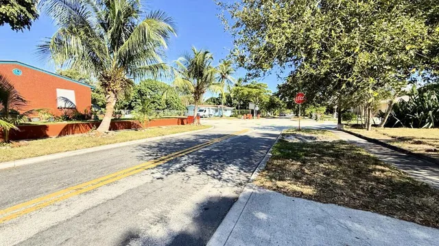 a view of a yard with plants and trees