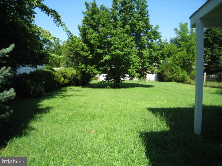 117 Manor Road Hatboro, PA 19040 - Photo 6 of 10 Back Yard