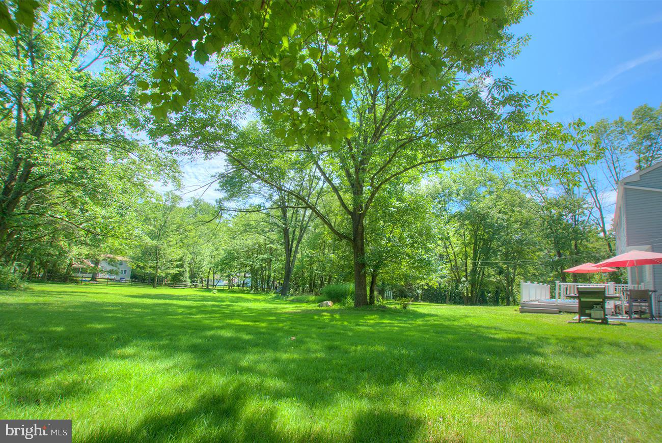 330 Maple Street Downingtown, PA 19335 - Photo 30 of 32 Rear yard in summer