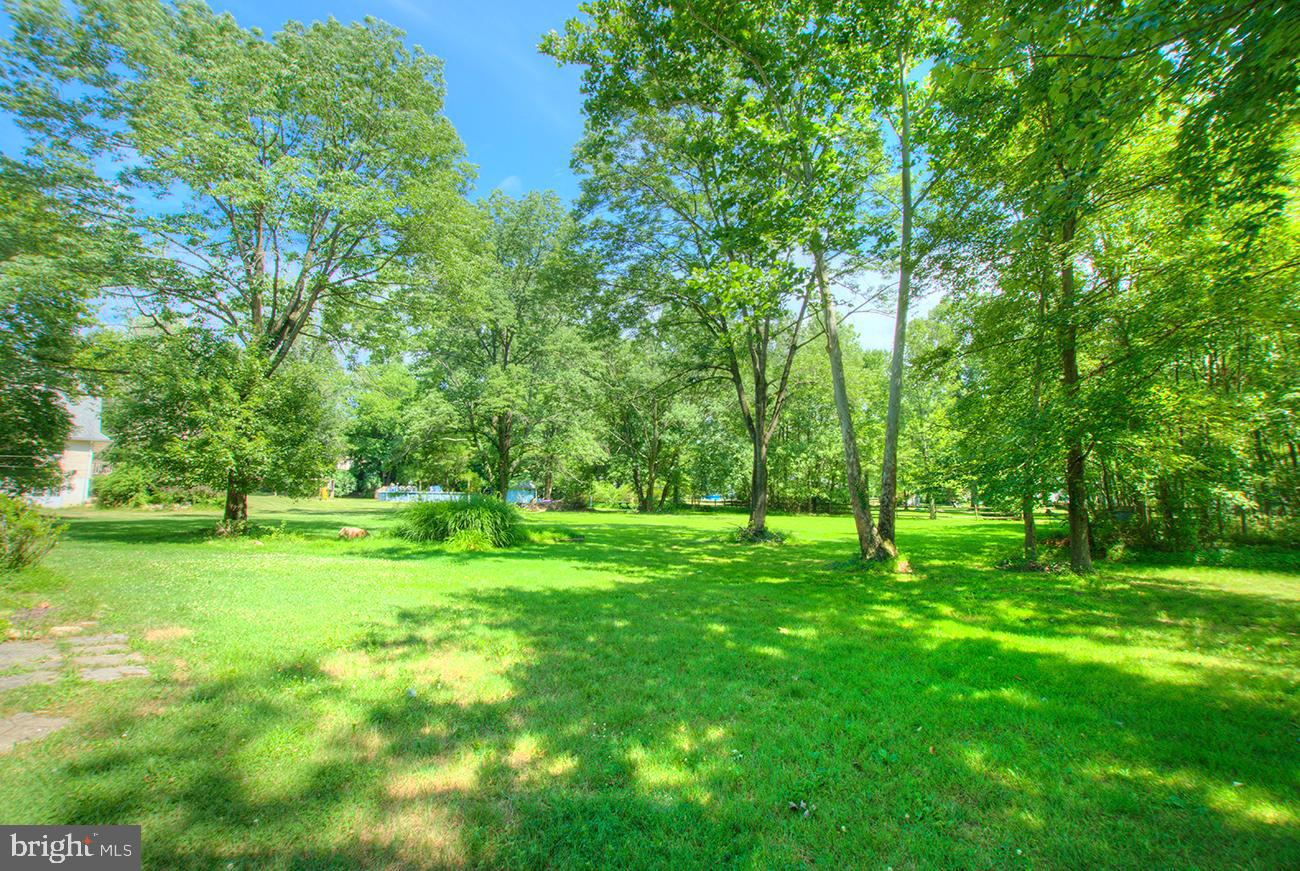 330 Maple Street Downingtown, PA 19335 - Photo 31 of 32 Rear yard in summer