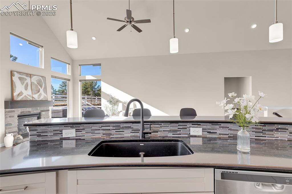11830 Alydar Loop Colorado Springs, CO 80921 - Photo 12 of 37 a kitchen with a sink and a potted plant
