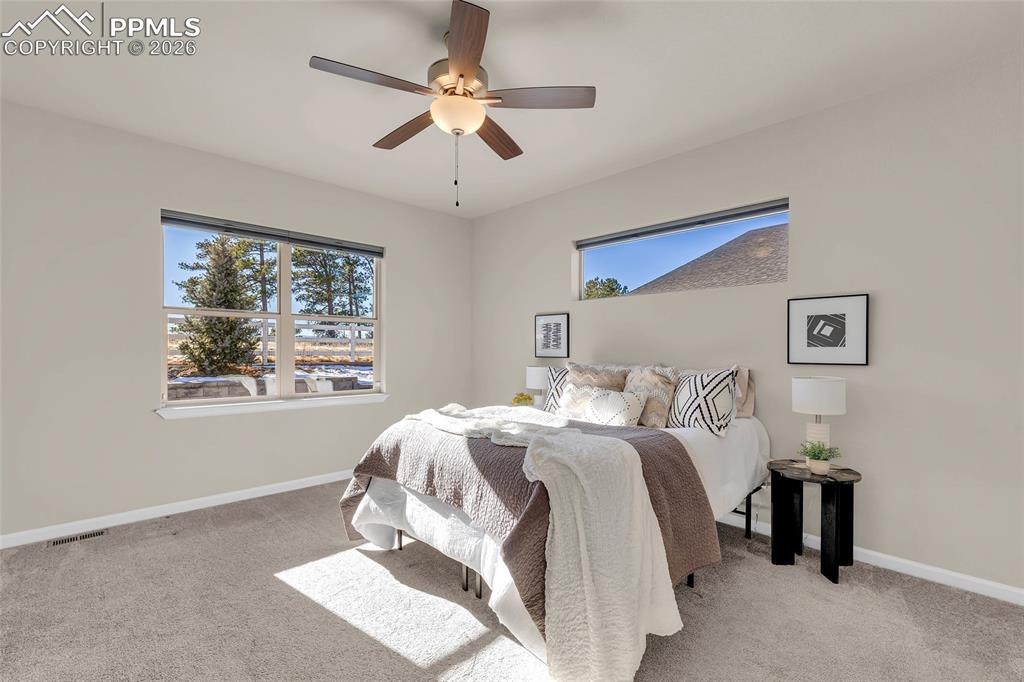 11830 Alydar Loop Colorado Springs, CO 80921 - Photo 16 of 37 a bedroom with a large bed and a window