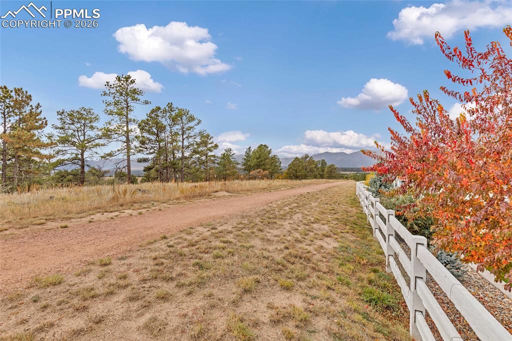 11830 Alydar Loop Colorado Springs, CO 80921 - Photo 33 of 37