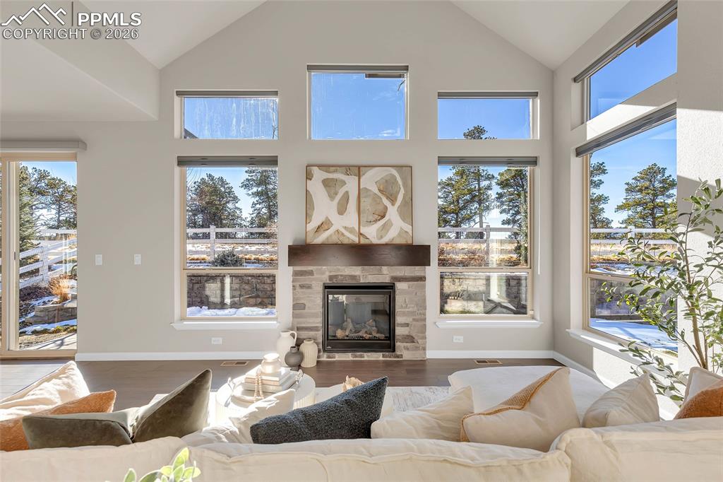 11830 Alydar Loop Colorado Springs, CO 80921 - Photo 4 of 37 a living room with furniture windows and a fireplace