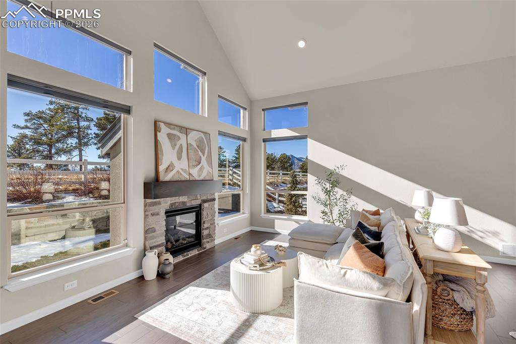 11830 Alydar Loop Colorado Springs, CO 80921 - Photo 5 of 37 a living room with furniture a fireplace and a floor to ceiling window
