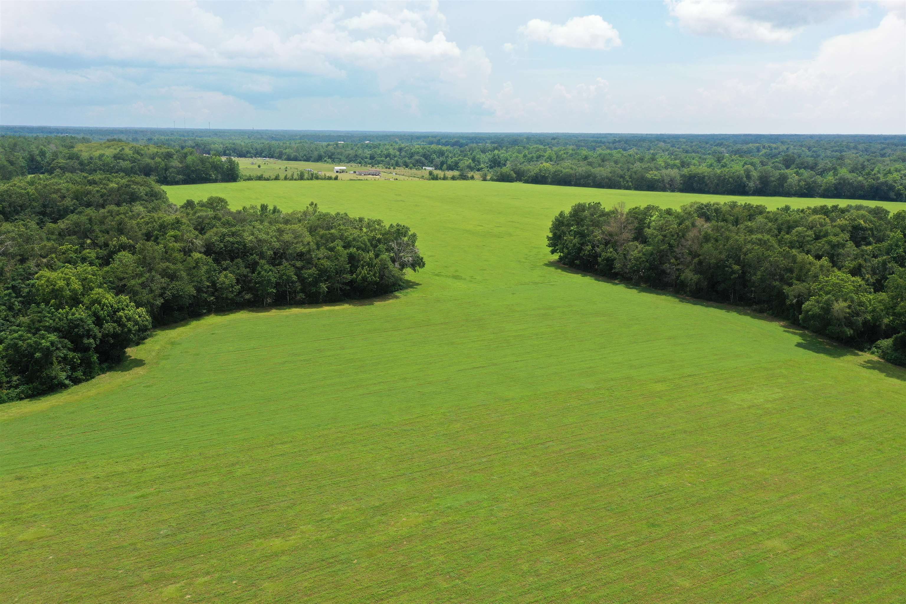 Xx Xx Max Herrin Road Quincy, FL 32352 - Photo 19 of 46