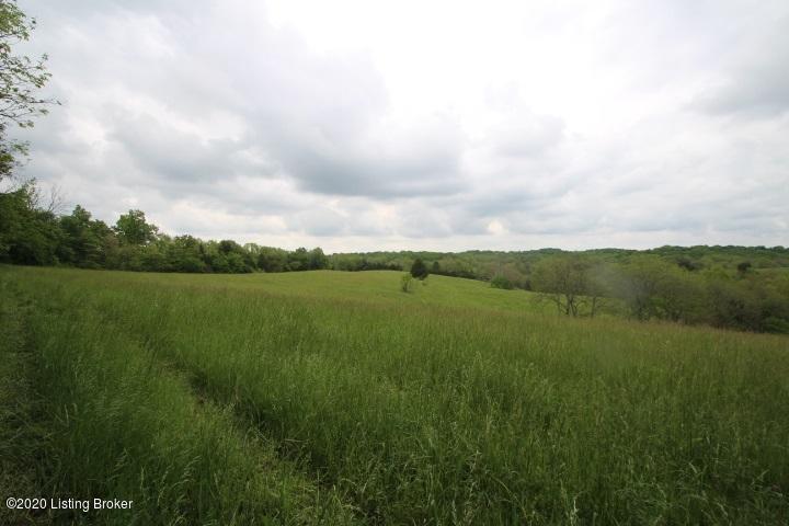 1 Fairmount Tanner Road Lawrenceburg, KY 40342 - Photo 26 of 39 IMG_4889