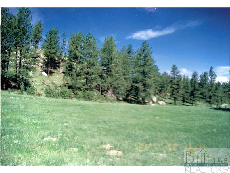 47 Juniper Road Roundup, MT 59072 - Photo 1 of 1 Gallery Image 1