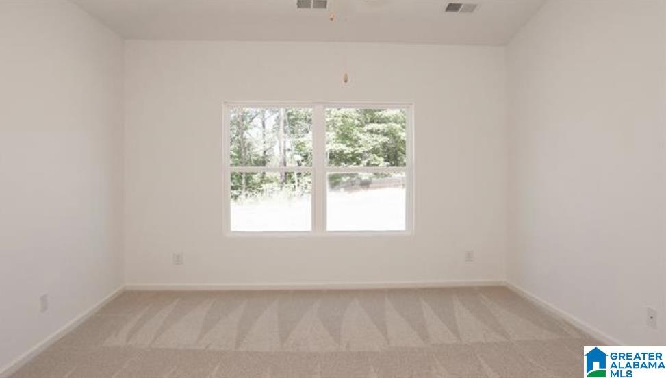 140 Sussex Road Odenville, AL 35120 - Photo 8 of 27