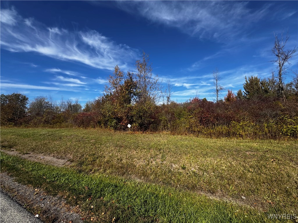 Vl Mc Clelland Road Newfane, NY 14108 - Photo 2 of 4