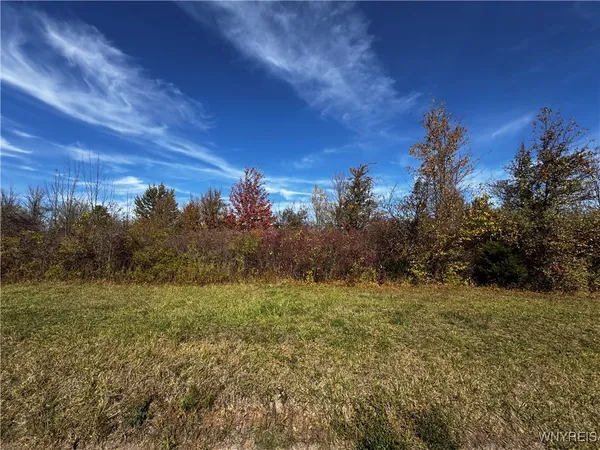 $59,900 | Vl Mc Clelland Road, Newfane, NY 14108