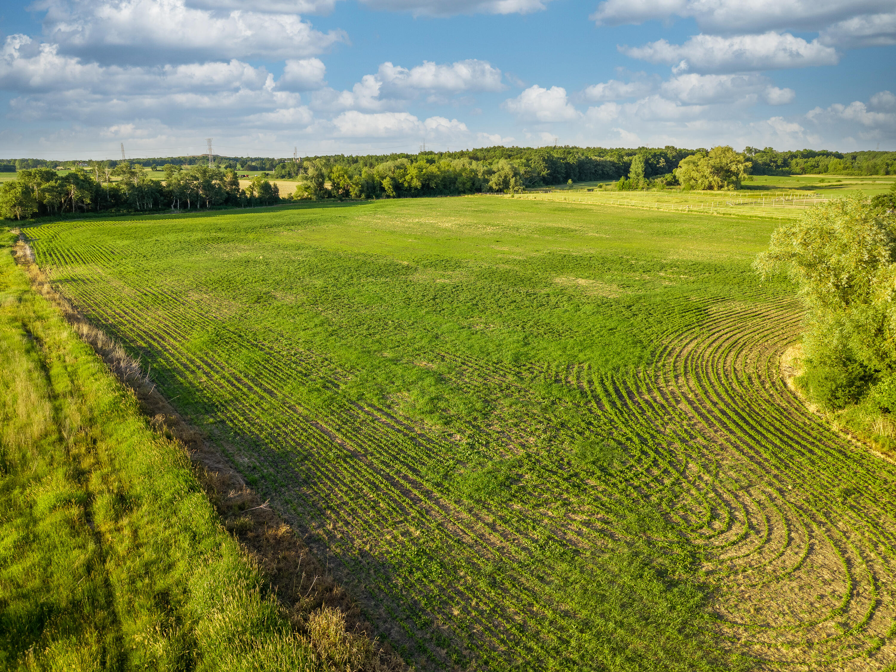 22200 West 6 Mile Road Norway, WI 53126 - Photo 10 of 45 10