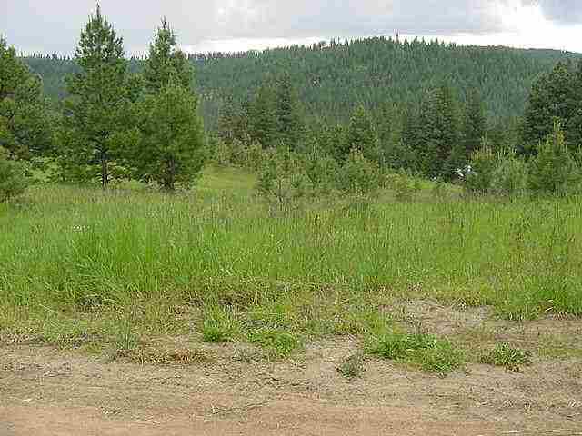 98 Red Warrior Road Boise, ID 83716 - Photo 1 of 1 Gallery Image 1